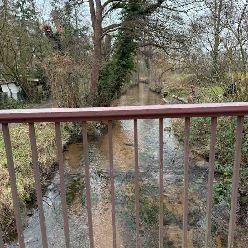 Os peregrinos klara post image