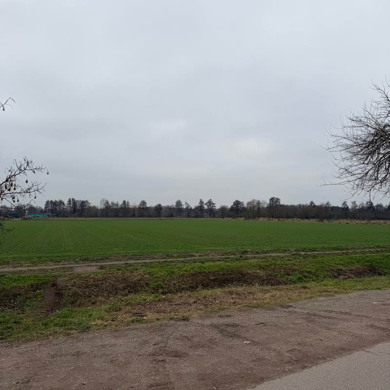 Os peregrinos klara post image