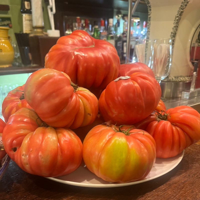 California Tomato