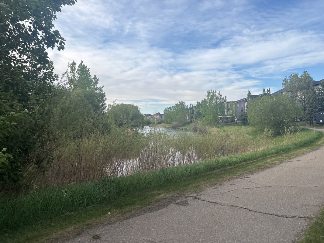 walking near me in Rainbow Falls park in summer