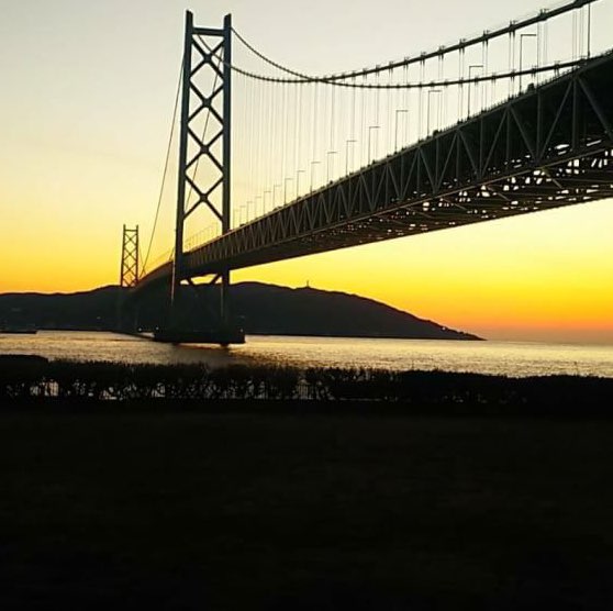 新潟コシヒカリ🍙🇯🇵🍚