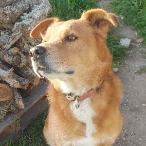 Luca77 profile