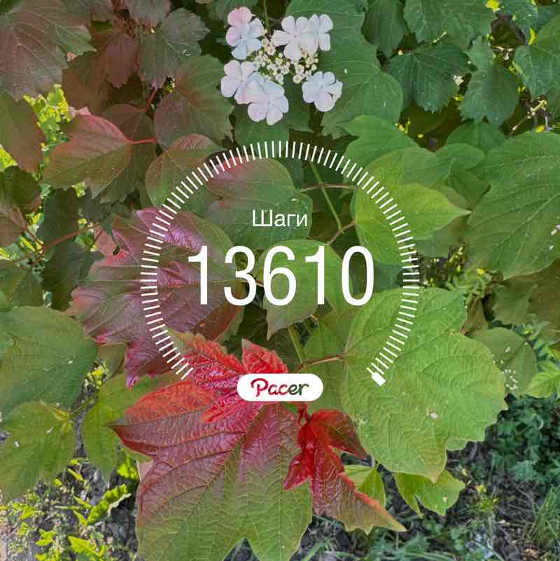 Тюмень potemkina.ksusha post image