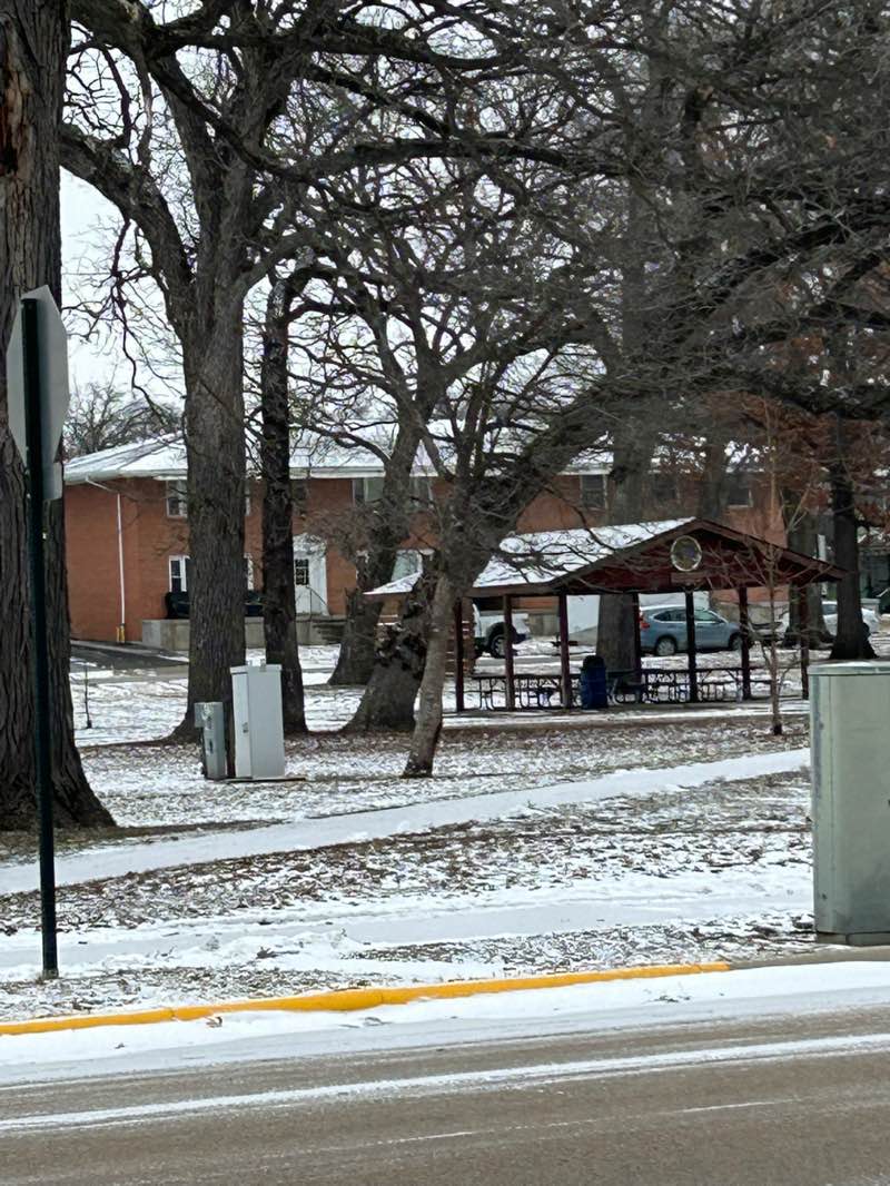 walking near me in John Dixon Park in winter