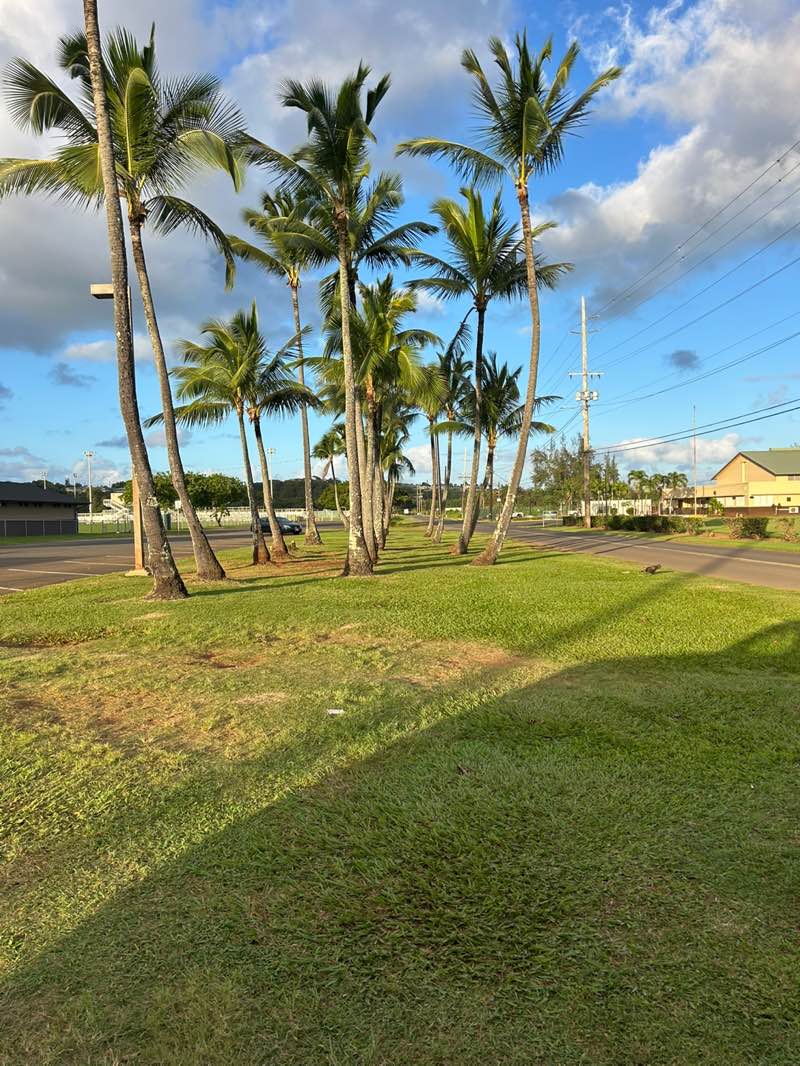 walking near me in Kapaa New Park in winter