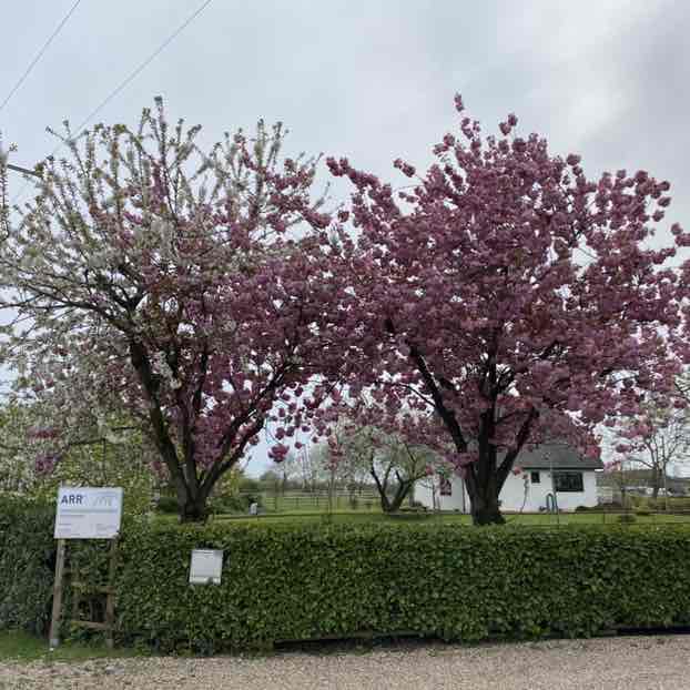 Stephan Brehm post 3