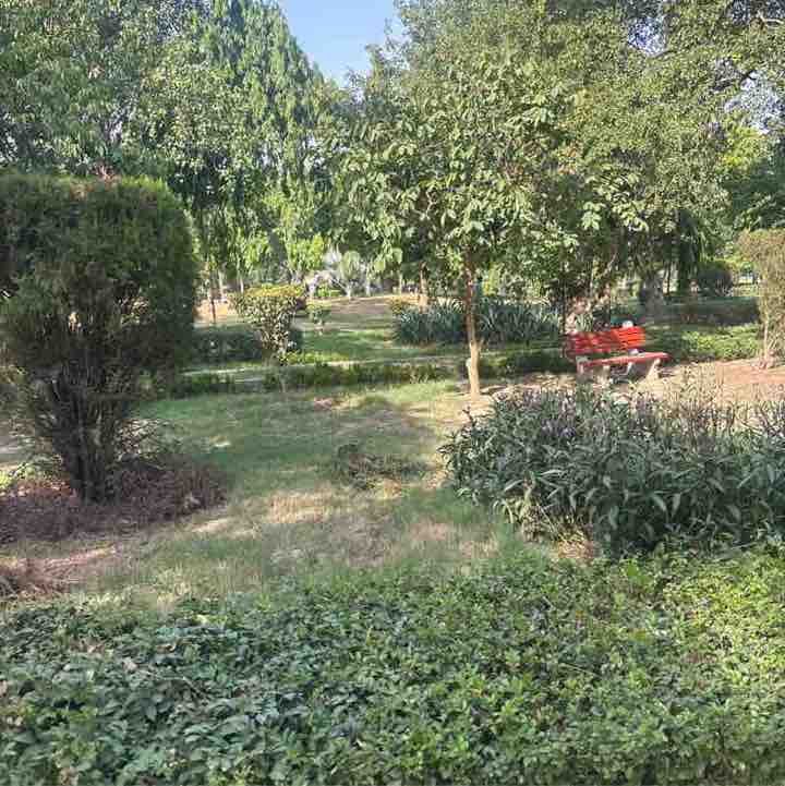 Vishesh post 1