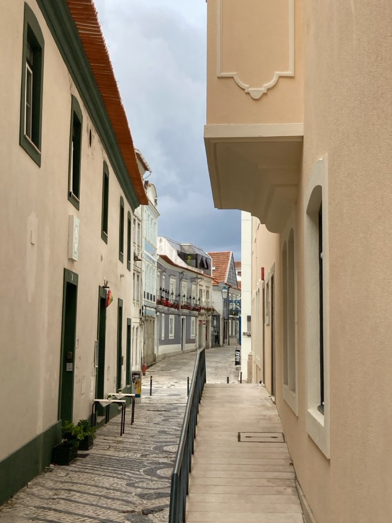 walking near me in Jardim da Casa do Sal in summer