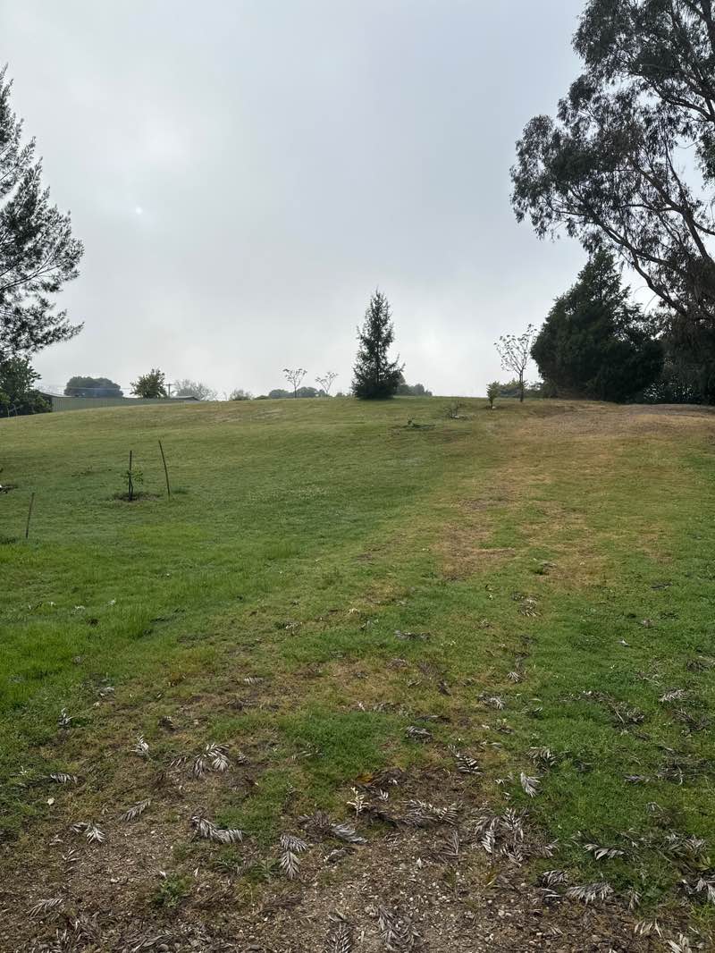 walking near me in Myrtleford Hospital Reserve in spring