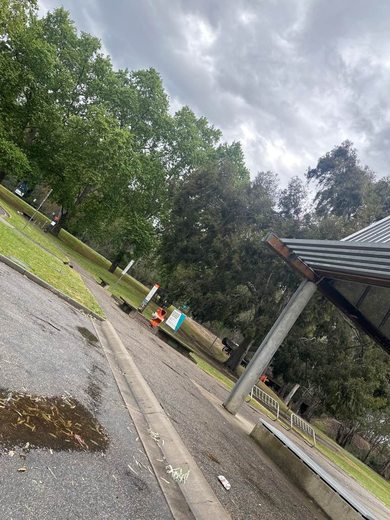 walking near me in Apex Park in spring