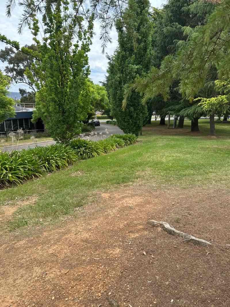 walking near me in Cundy Park in spring