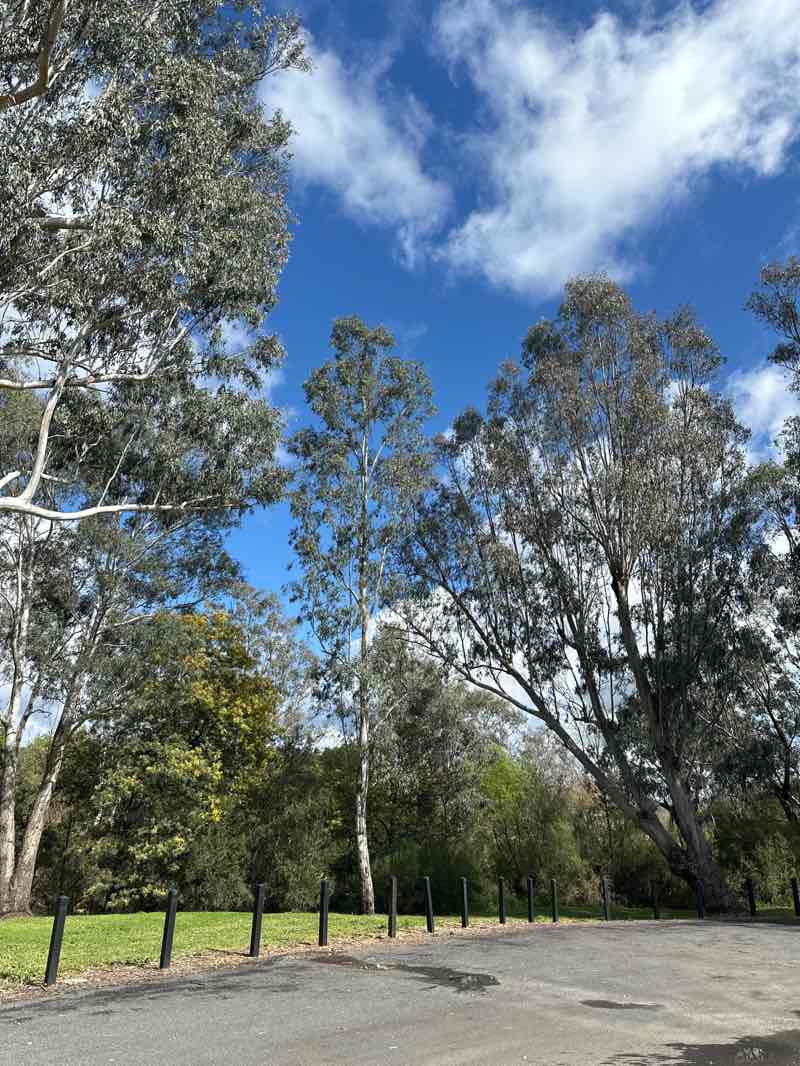 walking near me in Apex Park in spring
