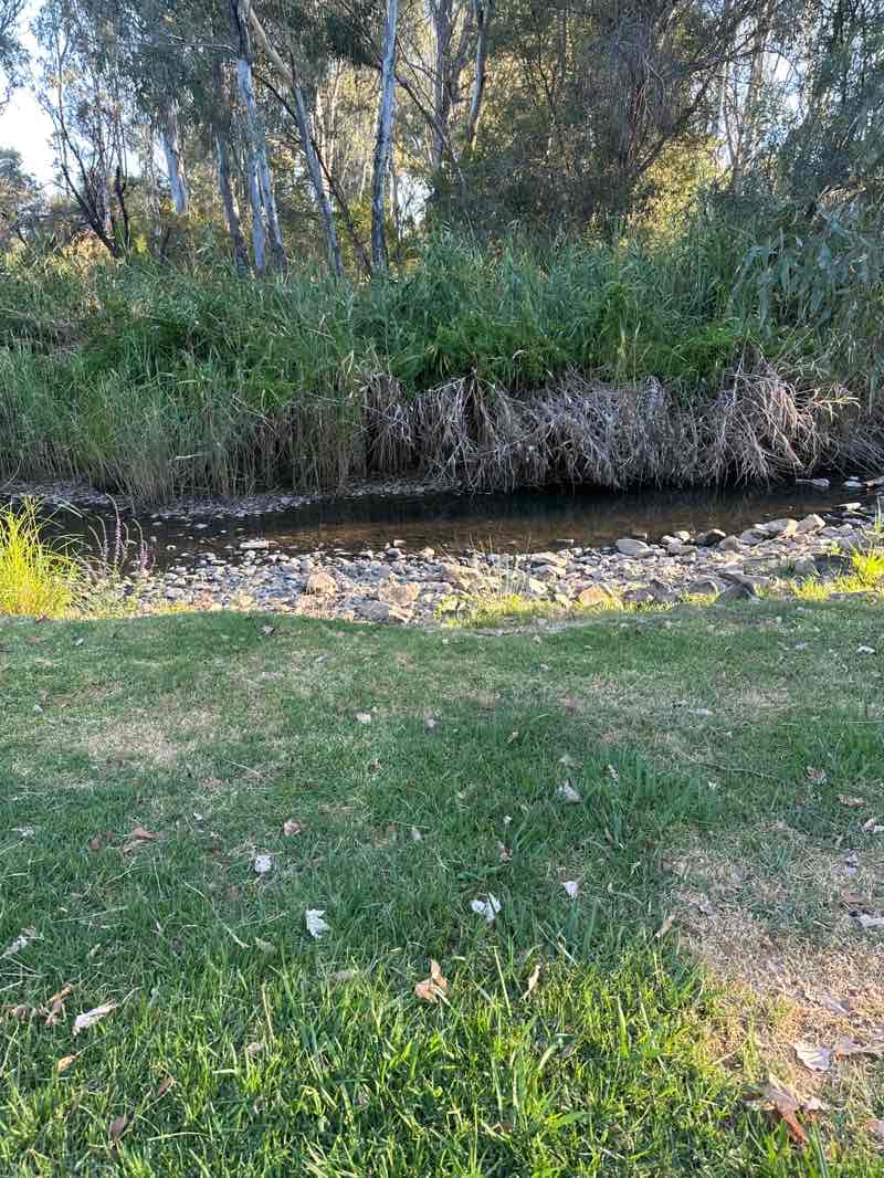walking near me in Rotary Park in summer