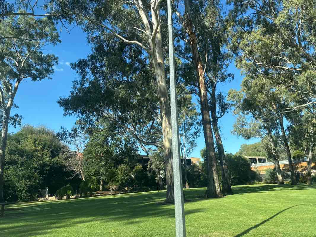 walking near me in Merriwa Park in autumn