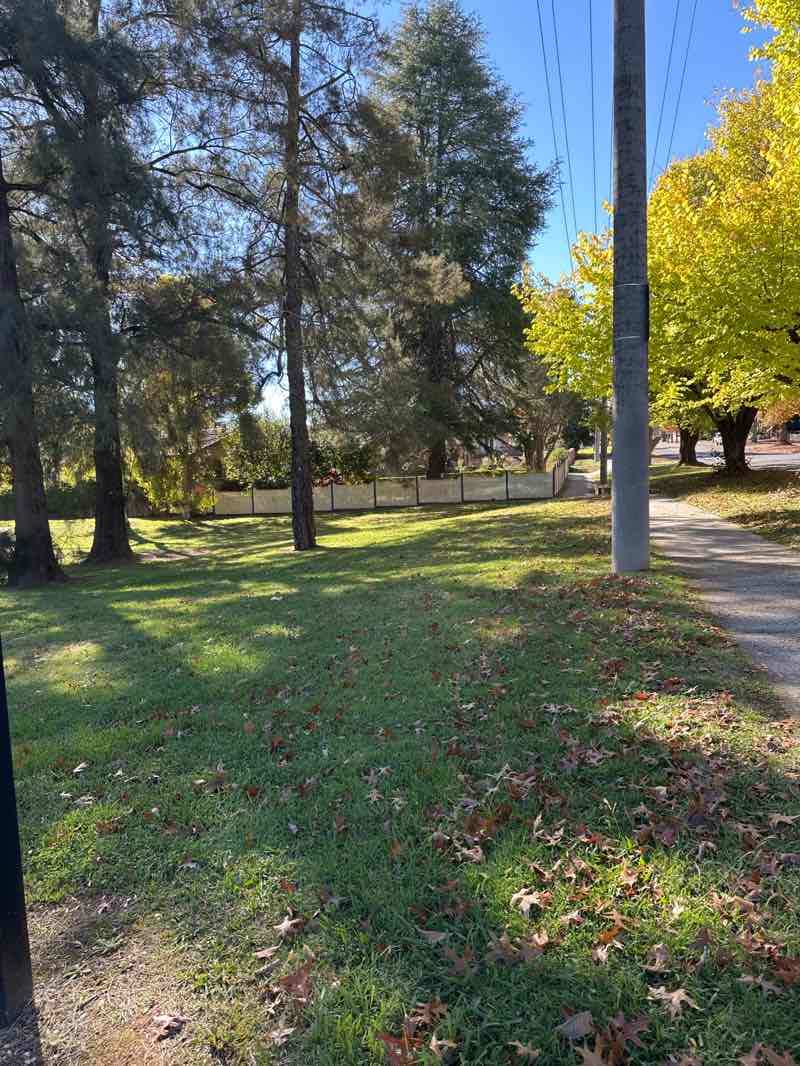 walking near me in Cundy Park in autumn