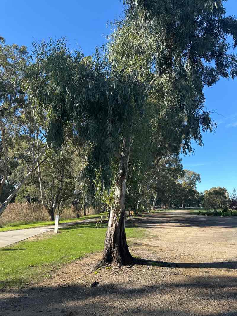walking near me in Batchelors Green in winter