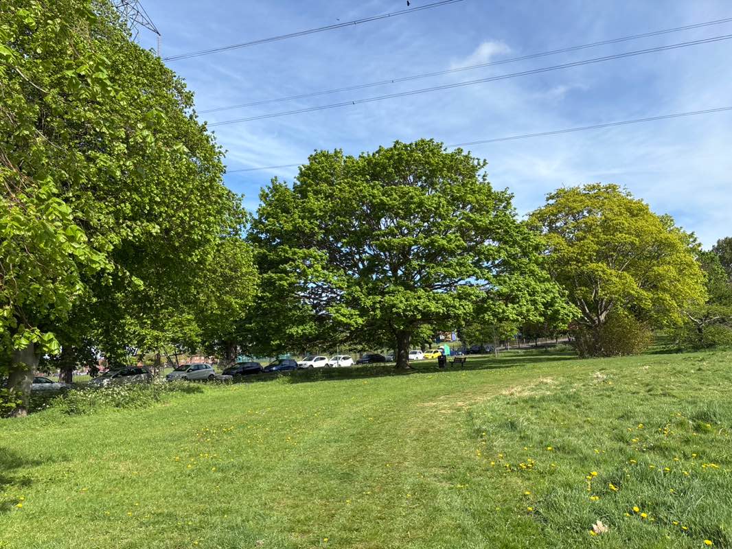 walking near me in Rosehill Park in spring
