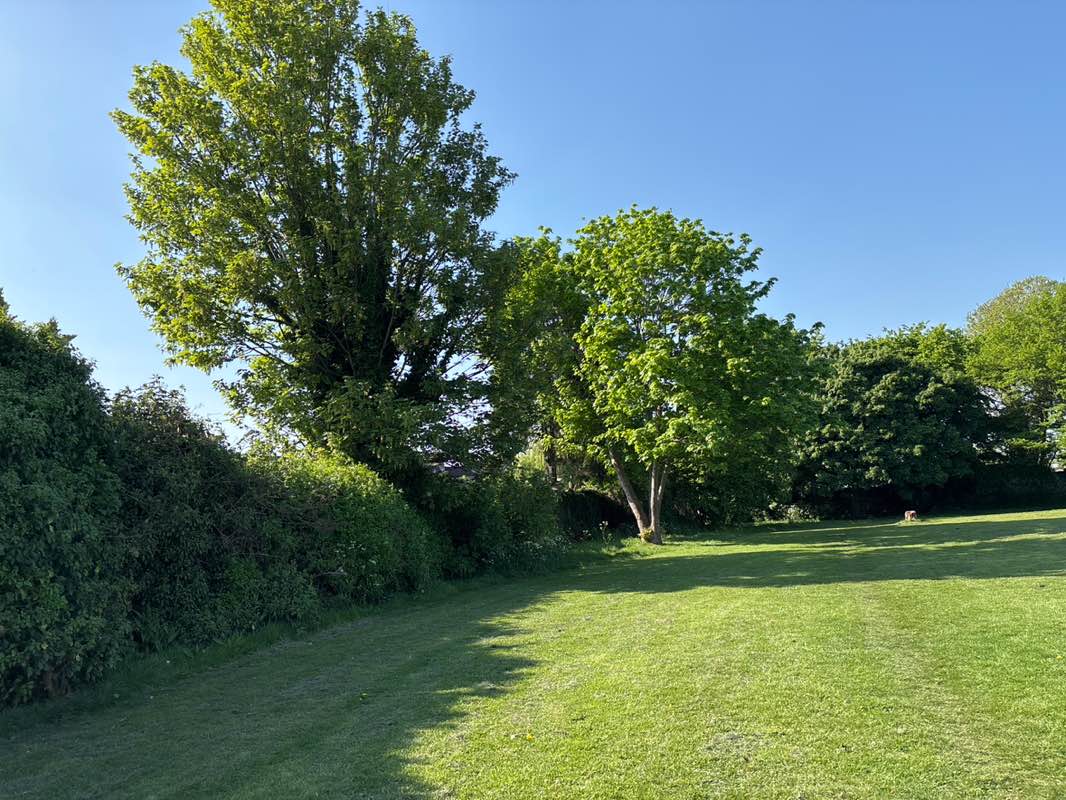 walking near me in Collingwood Recreation Ground in spring