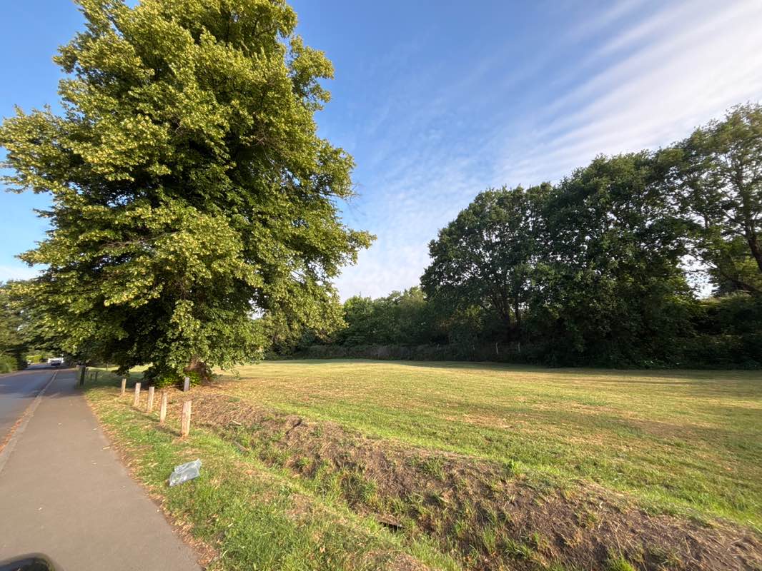 walking near me in Lower Green in summer