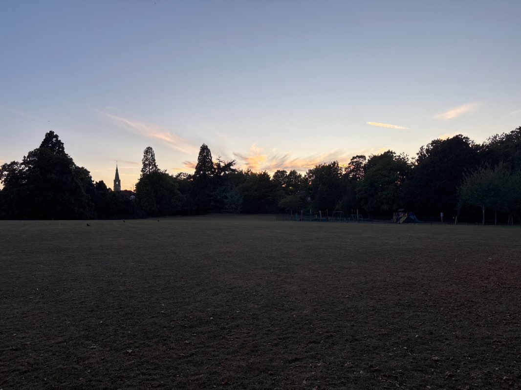 walking near me in Seears Park in autumn