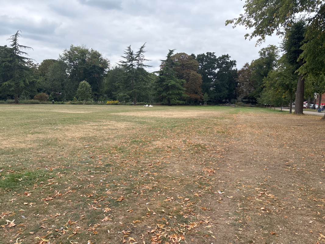 walking near me in Pump Room Gardens in autumn