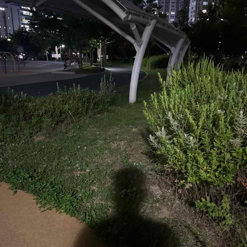 바람돌이 post 1