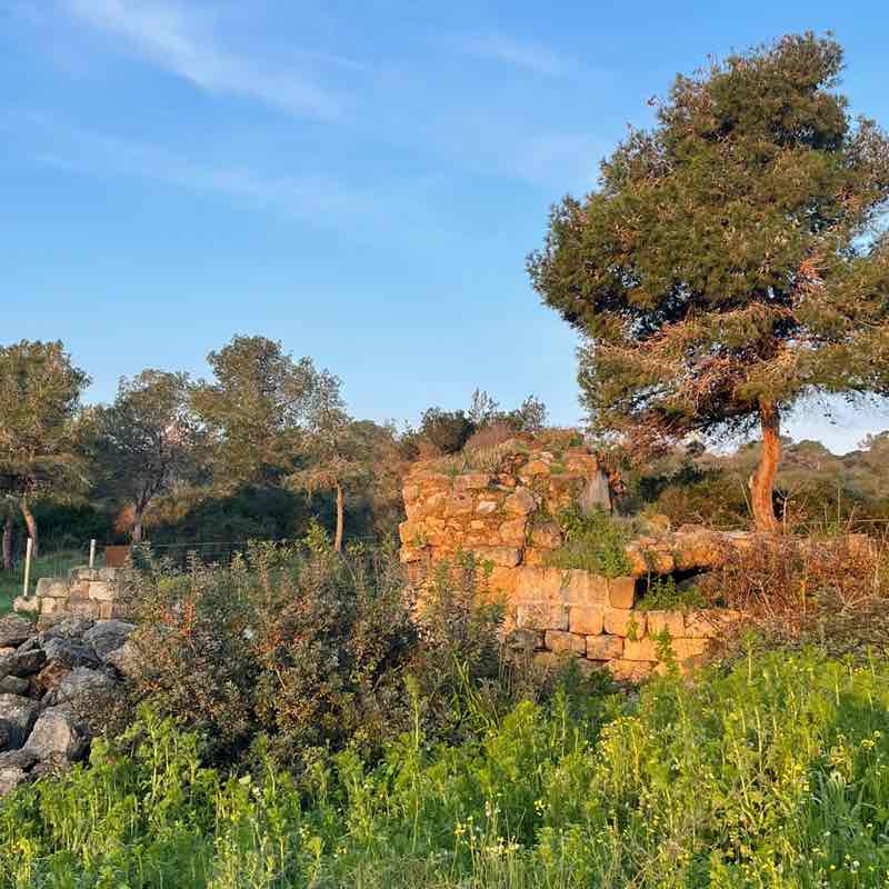 Alena 7/7 🇸🇻 post 3