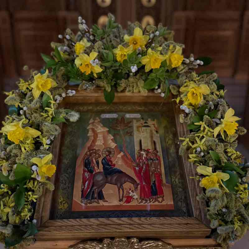 🌊Катерина☀️ post 3