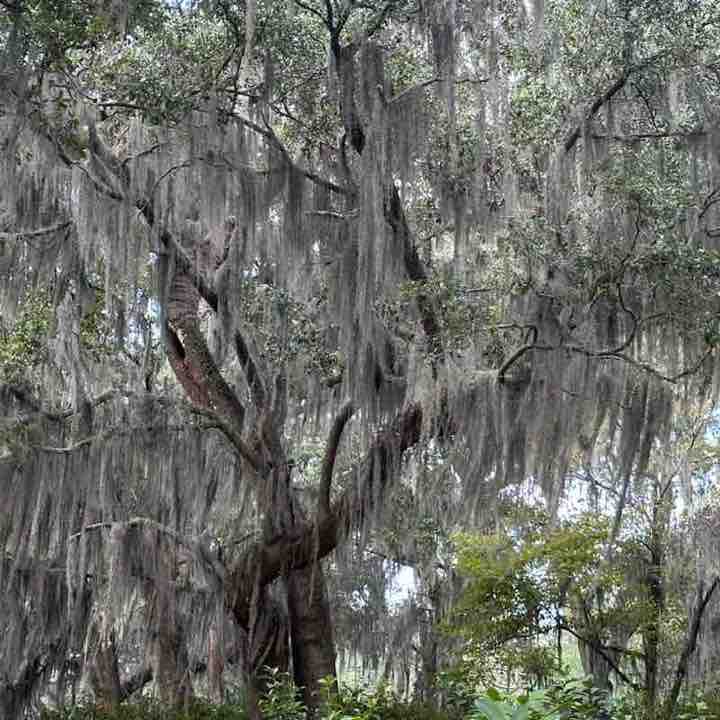 Ronelle Joy 🌈🤗🏝🌺🌊😎🤙🏼 post 3