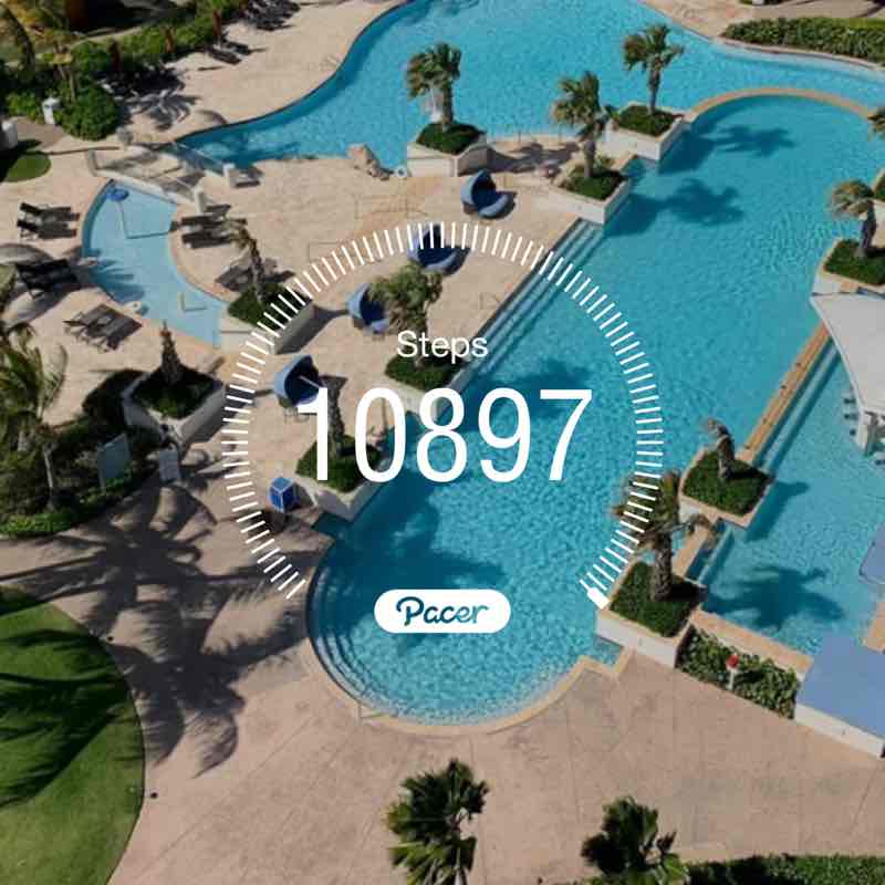 Ronelle Joy 🌈🤗🏝🌺🌊😎🤙🏼 post 1