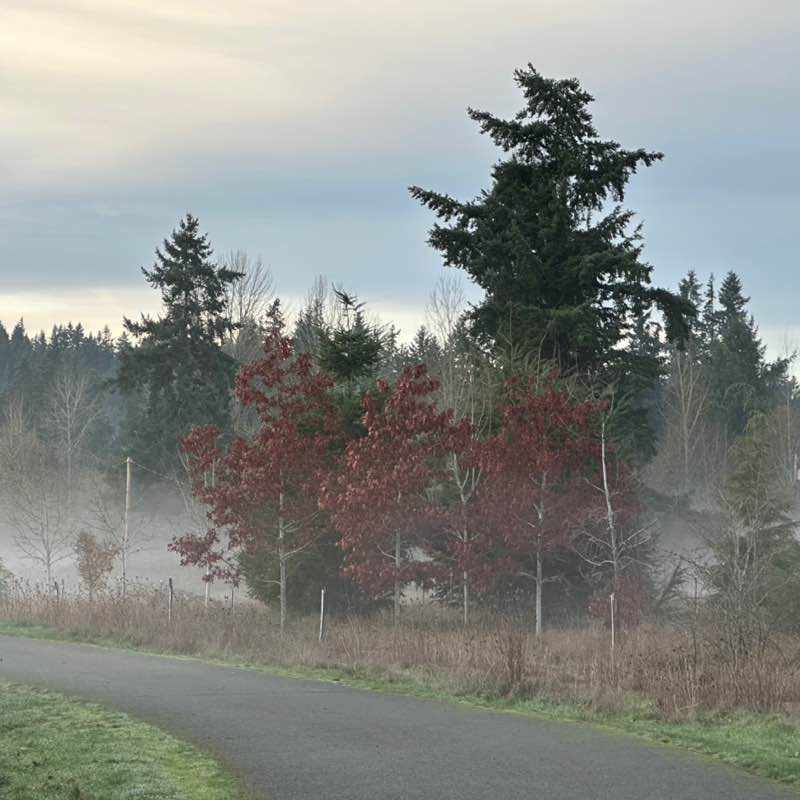 Ronelle Joy 🌈🤗🏝🌺🌊😎🤙🏼 post 3