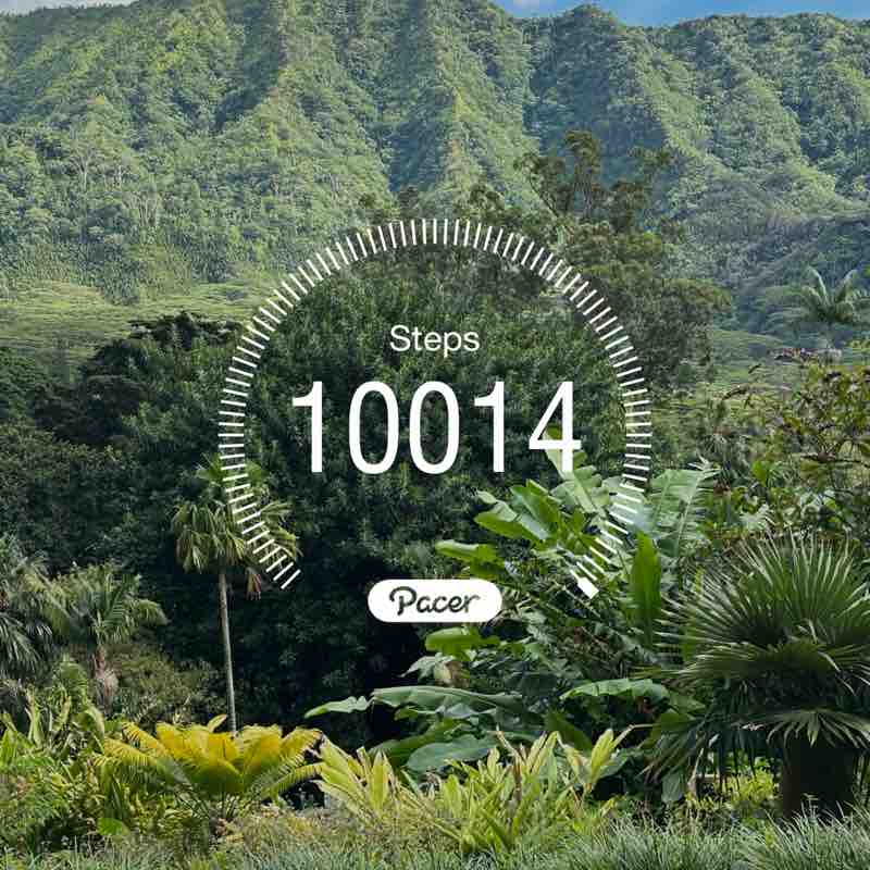 Ronelle Joy 🌈🤗🏝🌺🌊😎🤙🏼 post 1