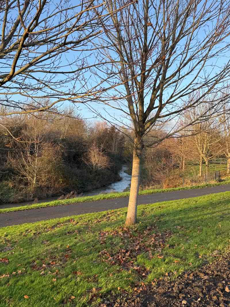 walking near me in Griffeen Valley Park in autumn