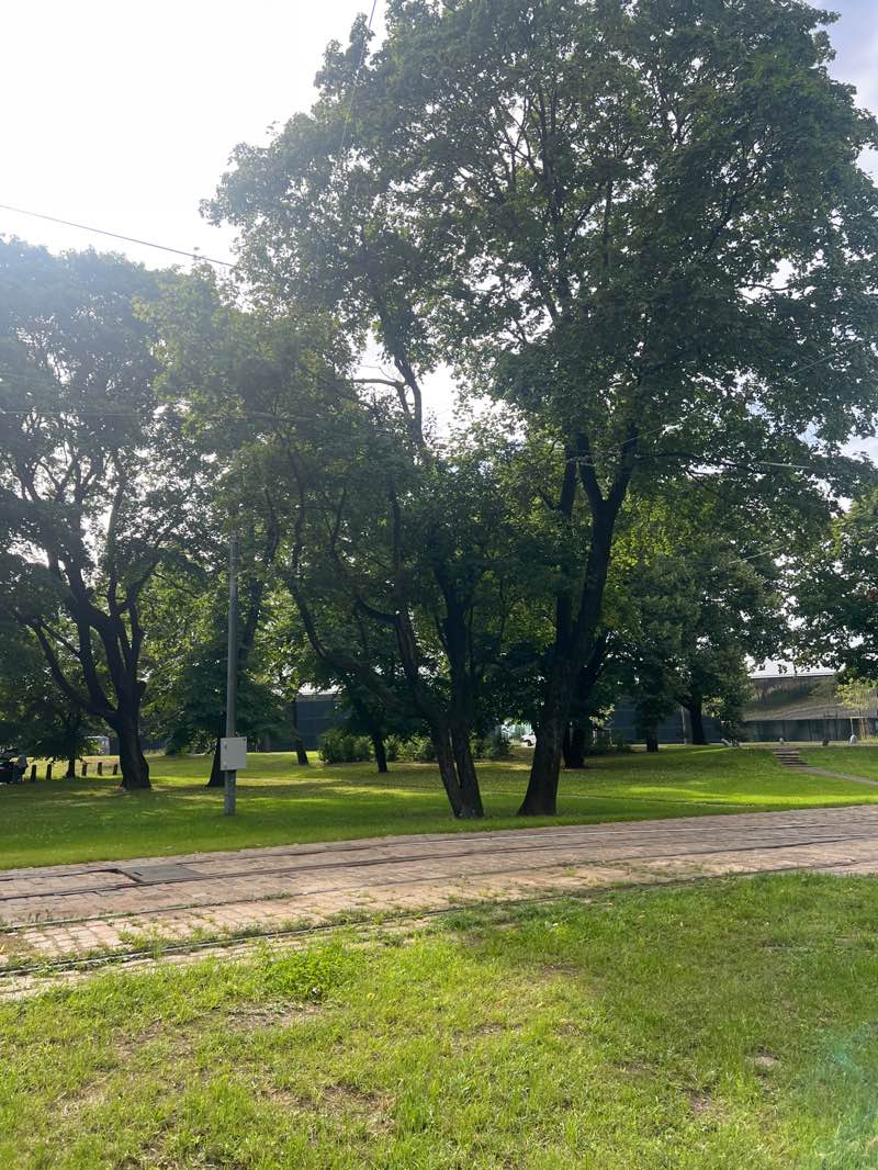 walking near me in Anatomikuma laukums in autumn