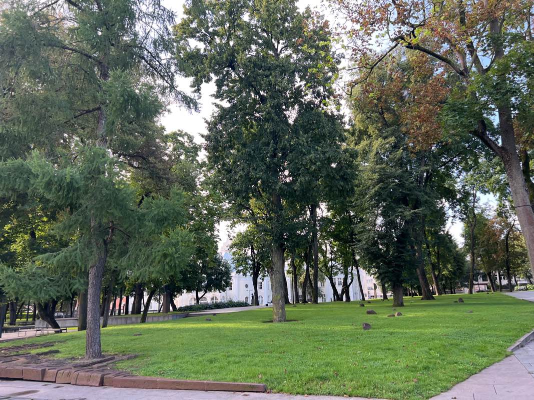 walking near me in Muzikinio teatro sodelis in autumn