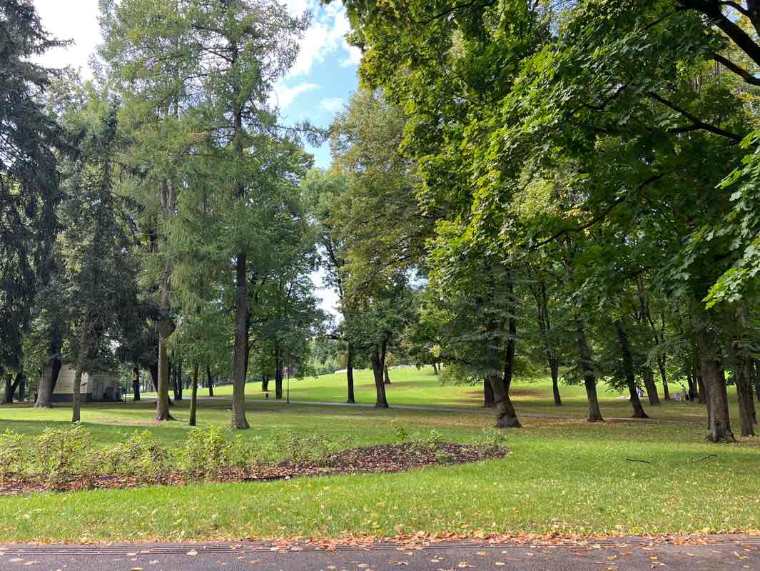 walking near me in Grīziņkalns in autumn