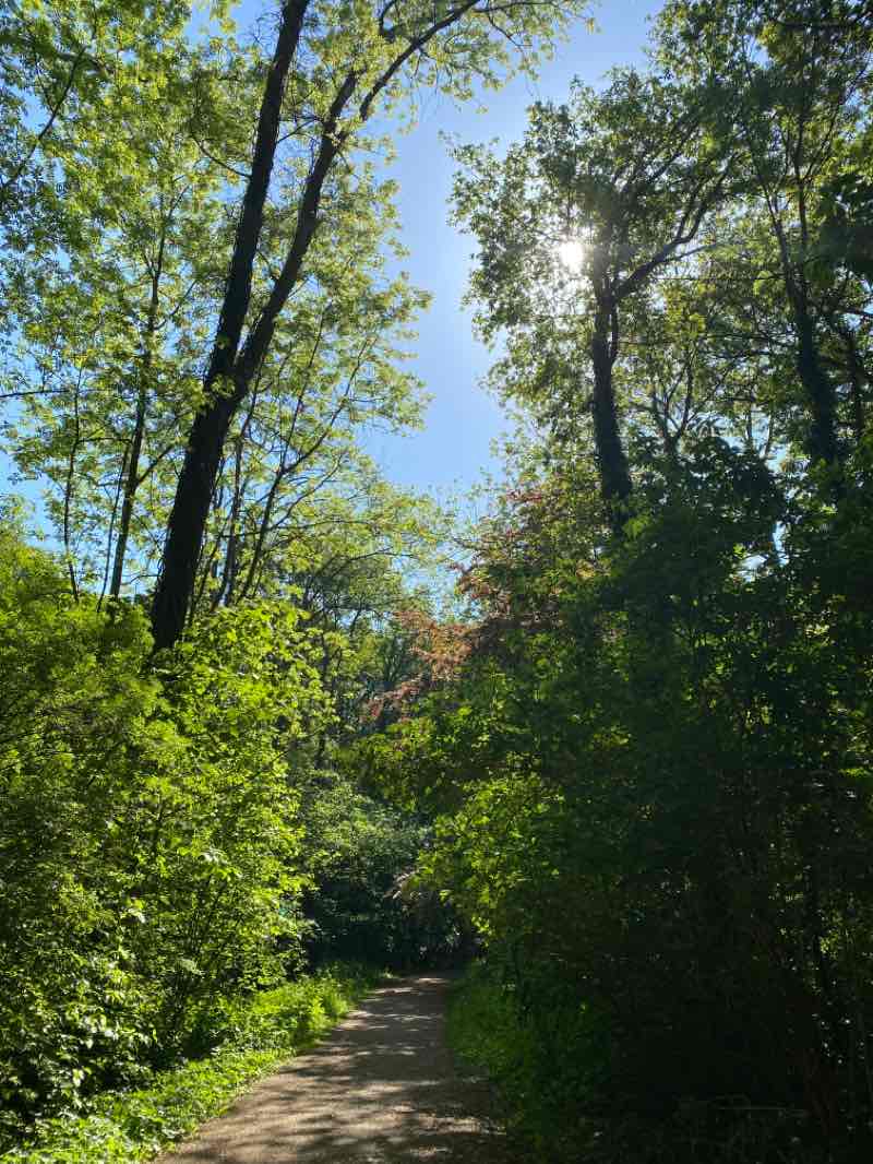 walking near me in Warande in winter