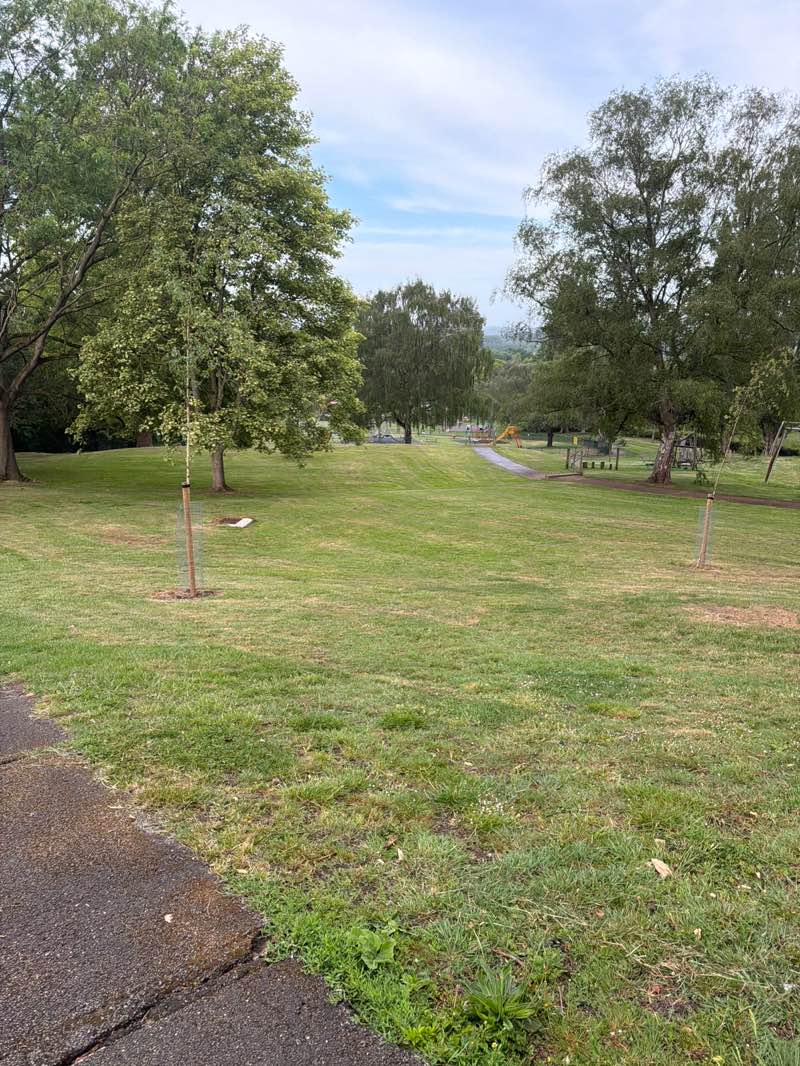 walking near me in Whittons Park in summer