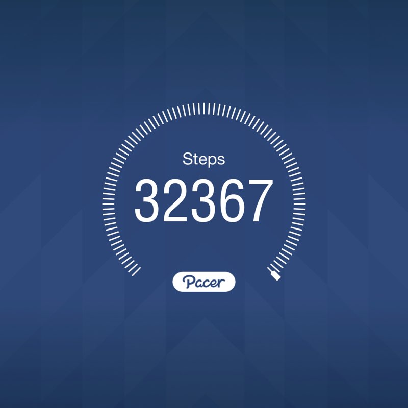 Pauli pops 🇳🇿💪🏻🇦🇺 post 1