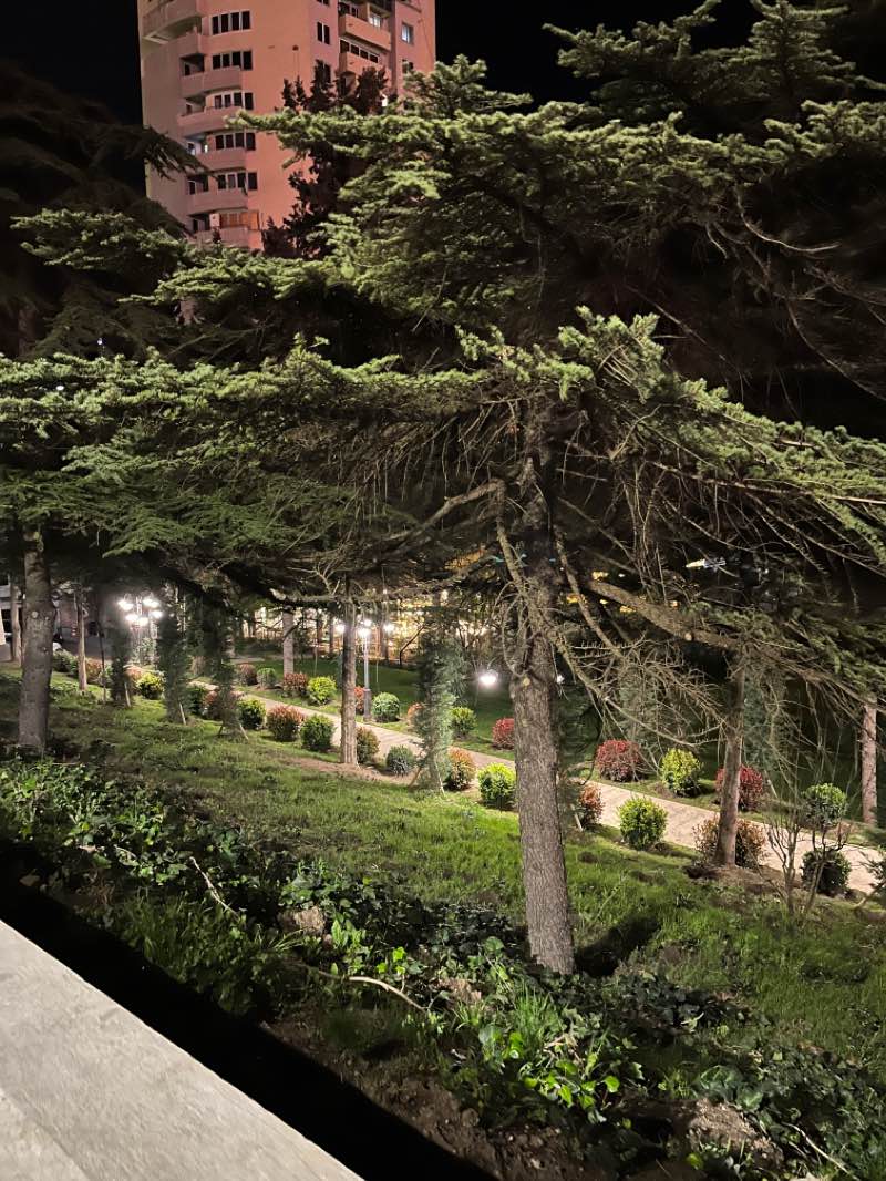 walking near me in Dedaena Park in winter