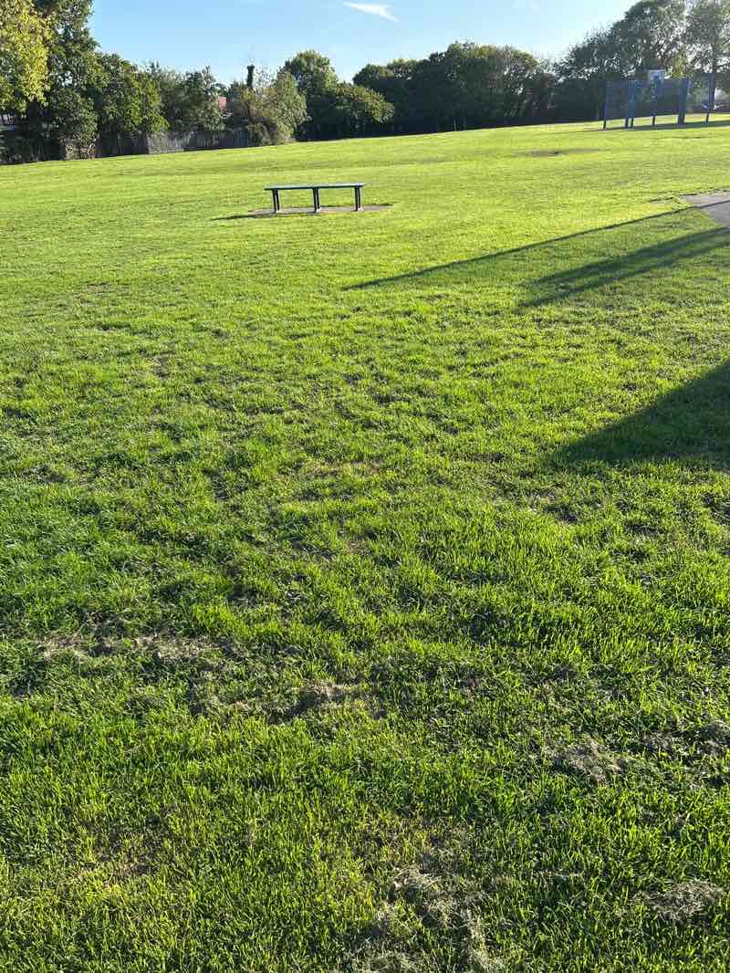 walking near me in Connaught Recreation Ground in autumn