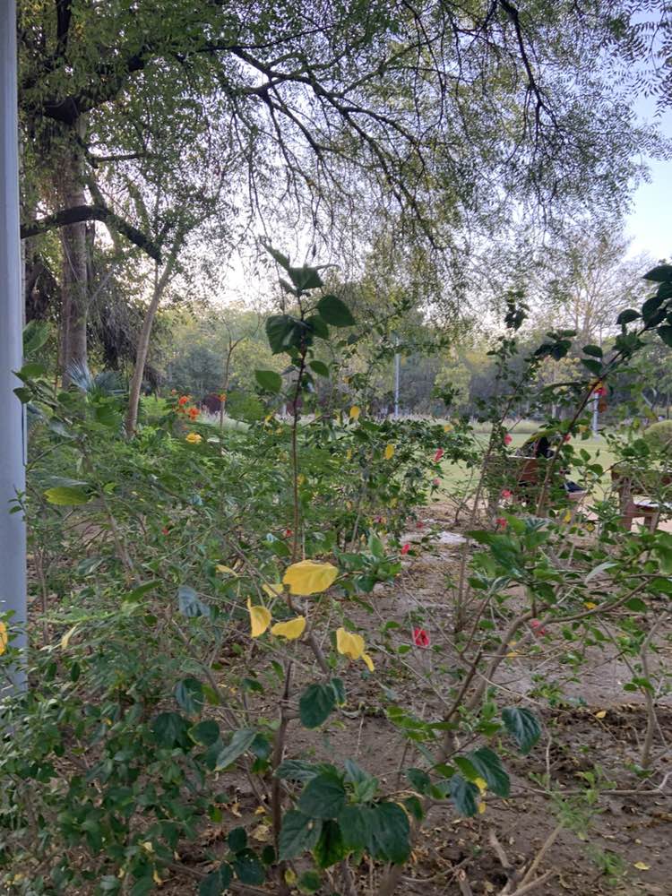 walking near me in Gotila Garden Lake in spring