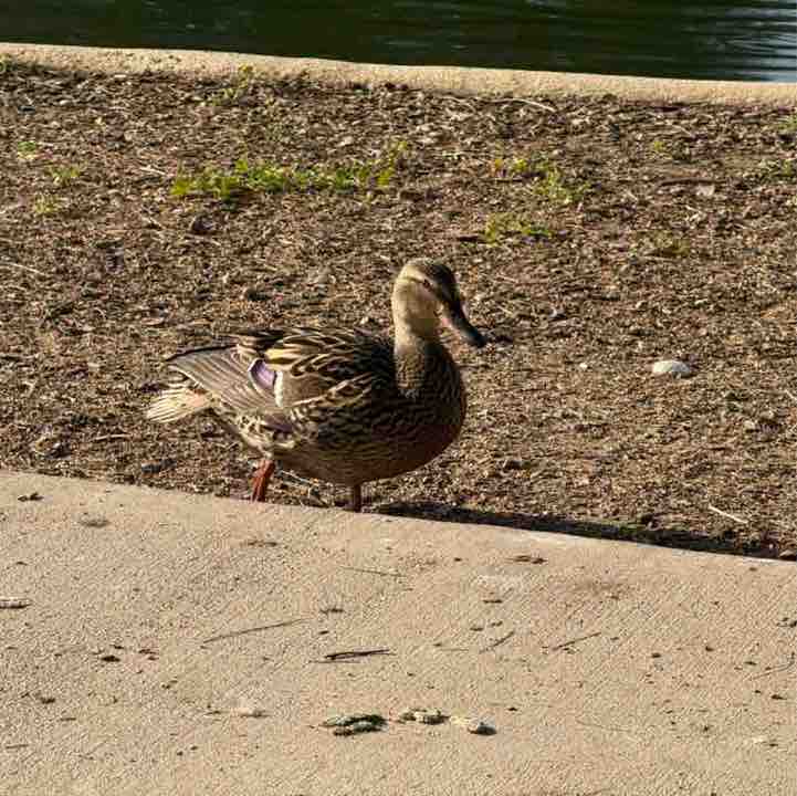 Manish ❤️ post 2