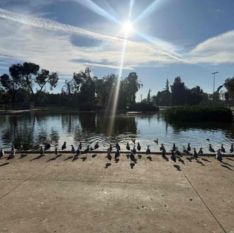 Manish ❤️ post 2