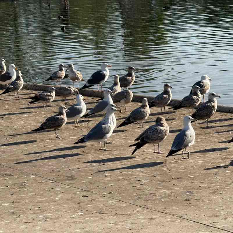 Manish ❤️ post 3