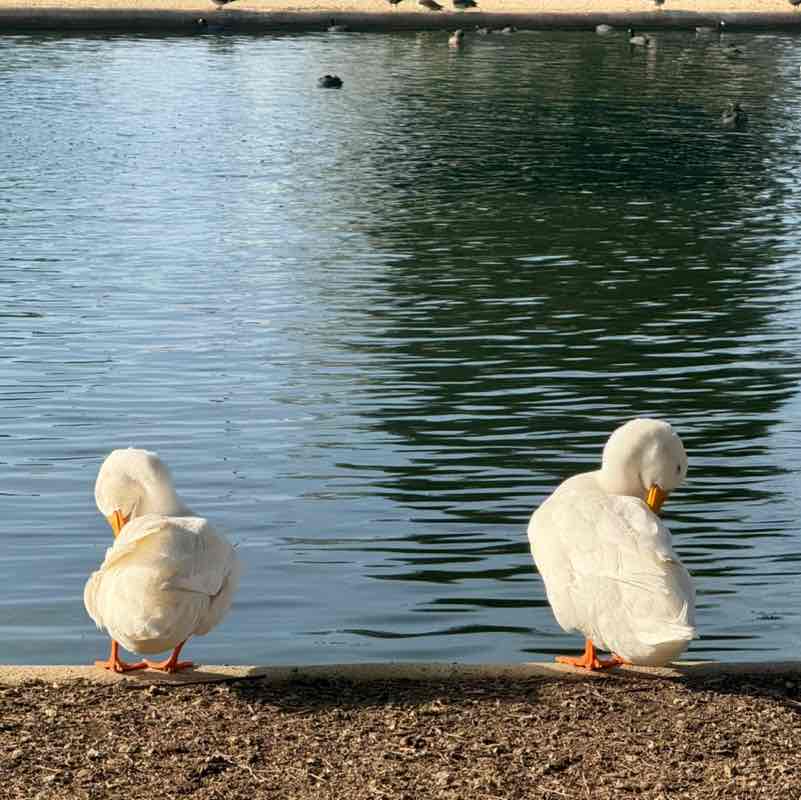 Manish ❤️ post 3