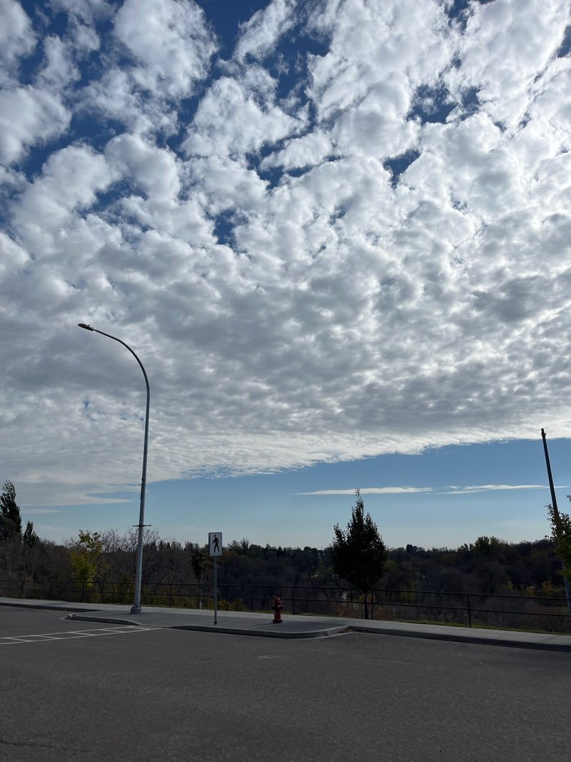 walking near me in Victoria Park in autumn