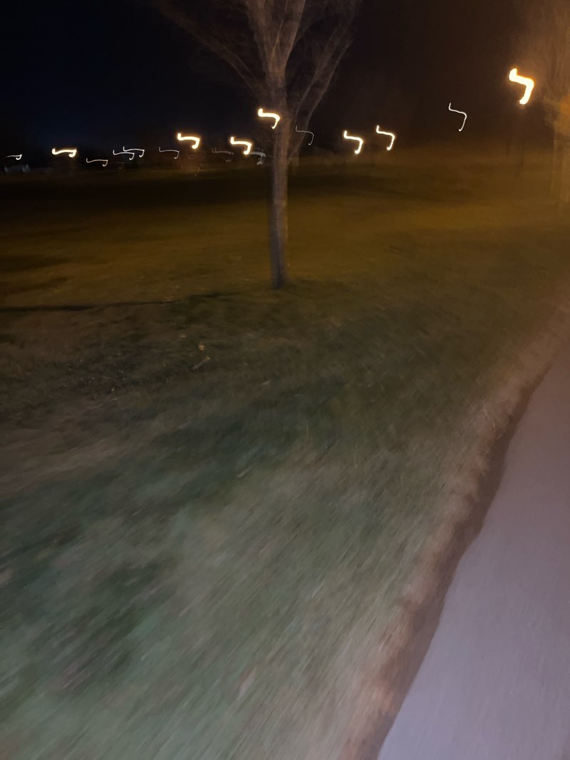 walking near me in R.J. Gidluck Park in autumn