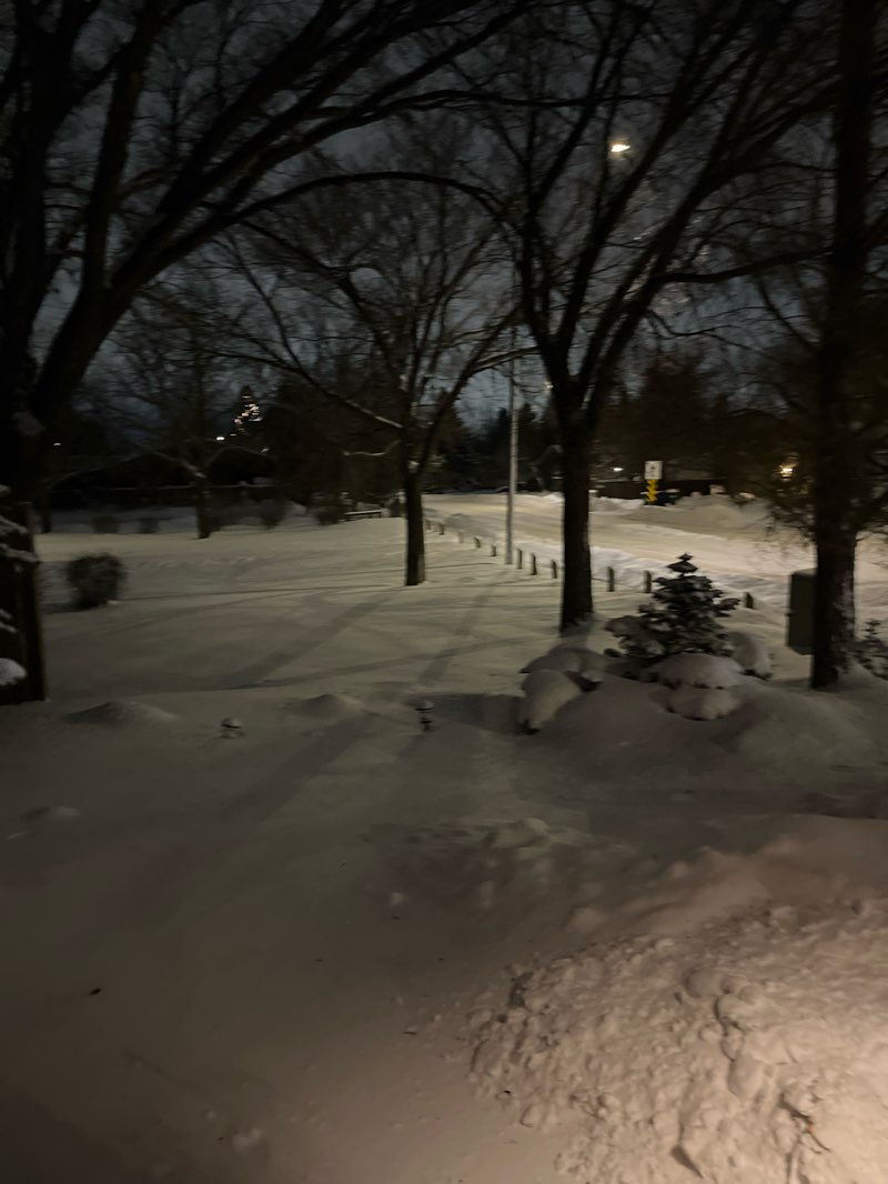 walking near me in Lakeview Park in winter