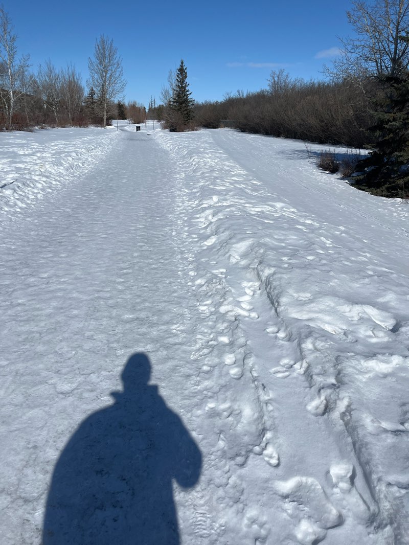 walking near me in Forestry Farm Park and Zoo in spring